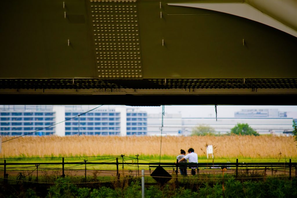 【Japanmapで可視化】Pythonで県別データを日本地図に色分け表示させる方法